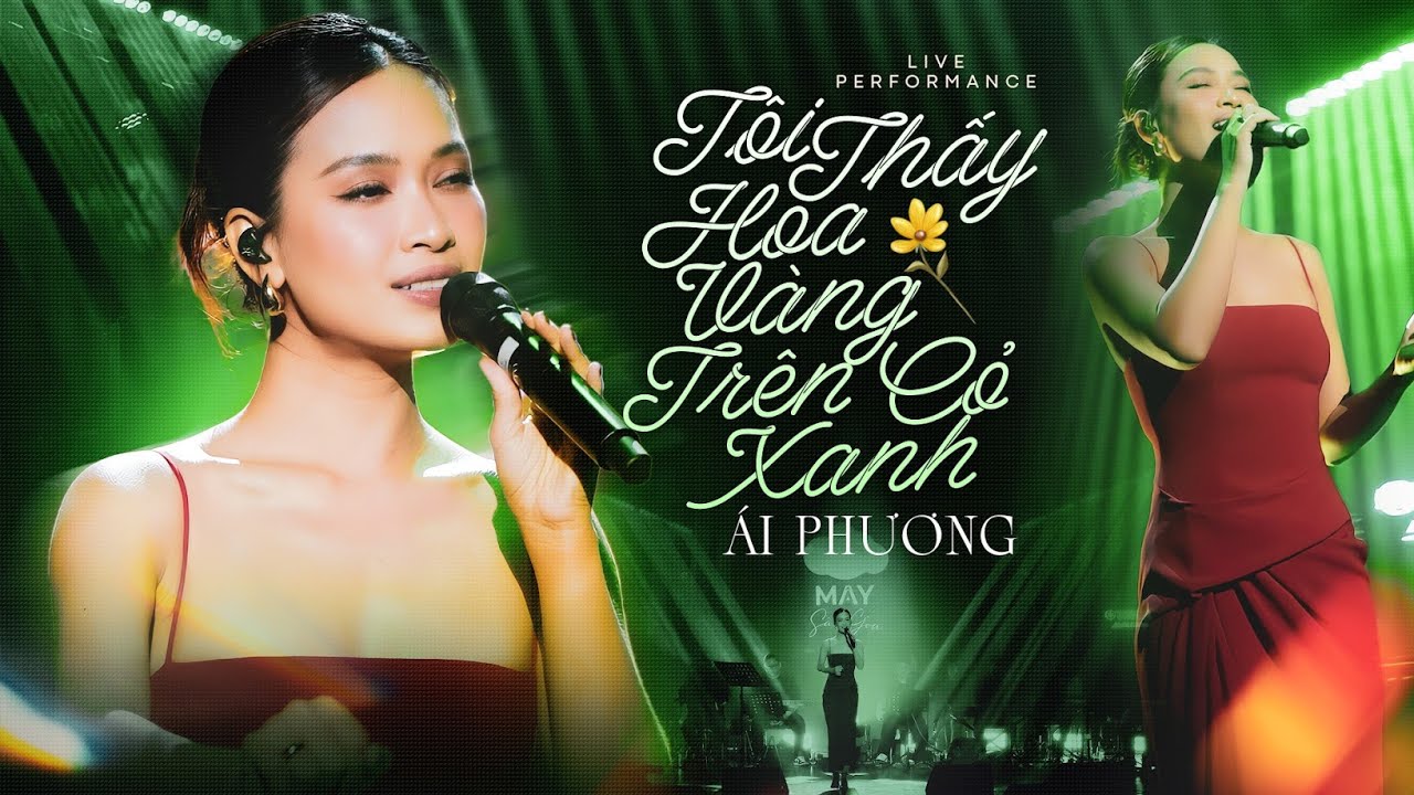 Tôi Thấy Hoa Vàng Trên Cỏ Xanh - Ái Phương live at Mây Sài Gòn | Official Music Video