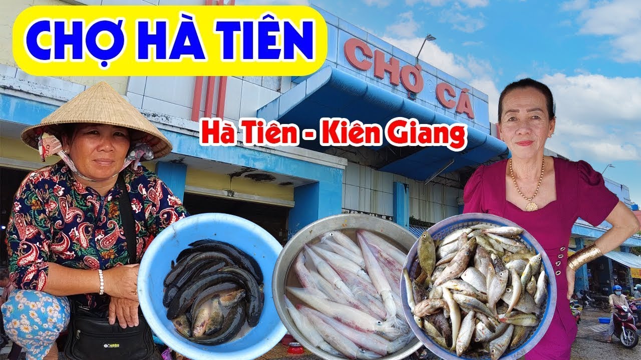 Khám Phá Chợ HÀ TIÊN Kiên Giang Chợ Hải Sản Giá Rẻ,Tươi Ngon - Điểm Đến Thu Hút Hàng Ngàn Du Khách