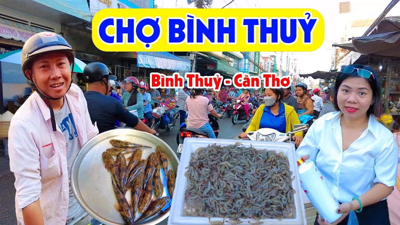 Về Cần Thơ Đi CHỢ BÌNH THỦY, Bà Con Tấp Nập Bán Đủ Loại Hải Sản Cá Đồng Sau Bão | Miền Tây Sông Nước