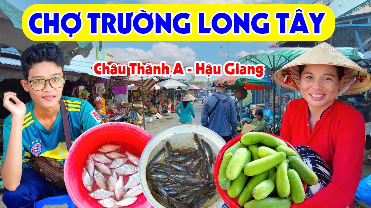 Về Hậu Giang Đi Chợ Trường Long Tây: Chợ Rất Nhiều Hải Sản Tươi Ngon Giá Rẻ | Miền Tây Sông Nước