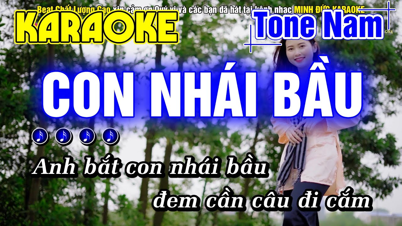 Karaoke Con Nhái Bầu | Tone Nam | Minh Đức Karaoke | Beat Chất Lượng Cao | Mai Tiến Đạt Bolero