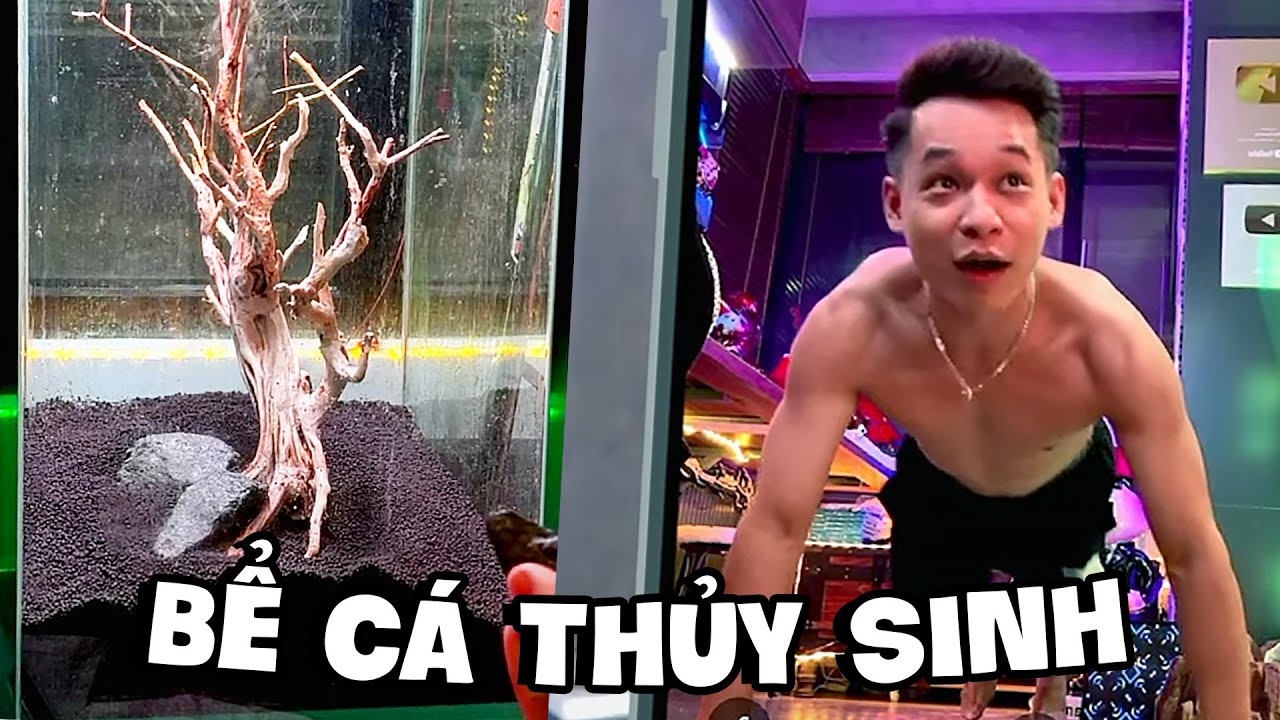 (Restream) Dọn lại bể cá thủy sinh trong phòng làm việc, Thi chống đẩy cùng em Trần Thái Yeah.