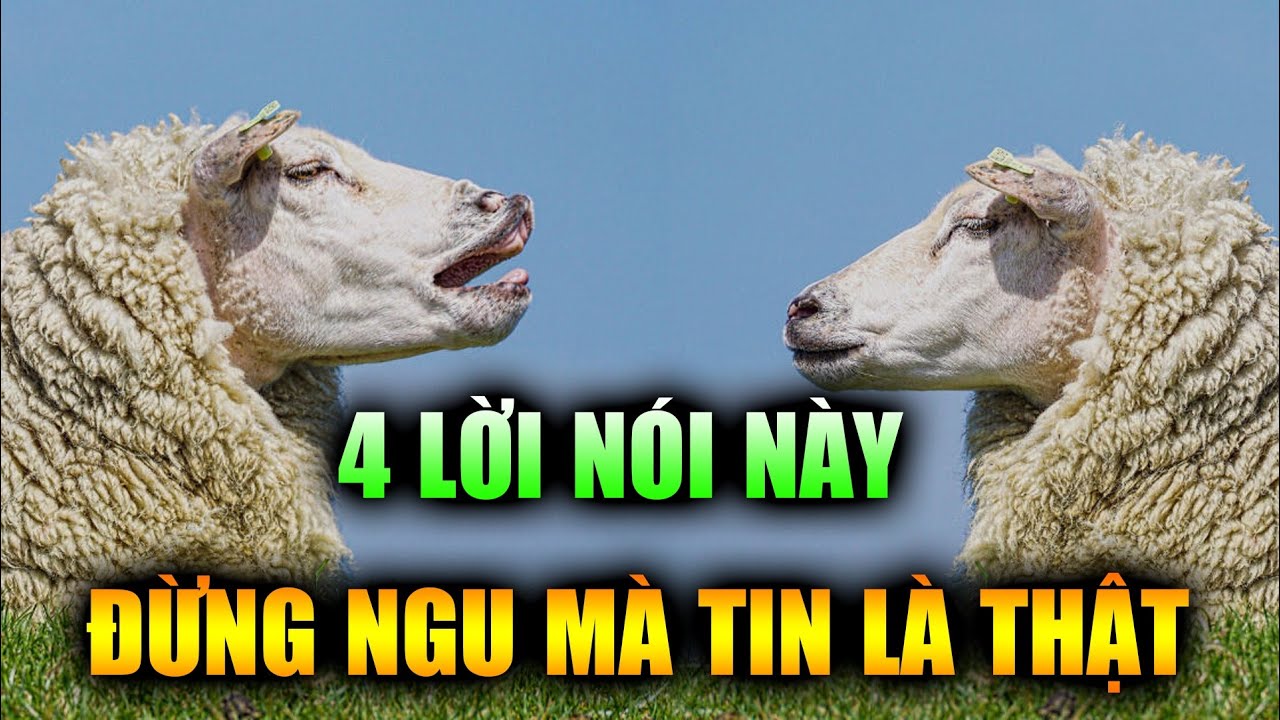 Sống trên đời, có 4 câu nói đừng NGU mà tin là thật