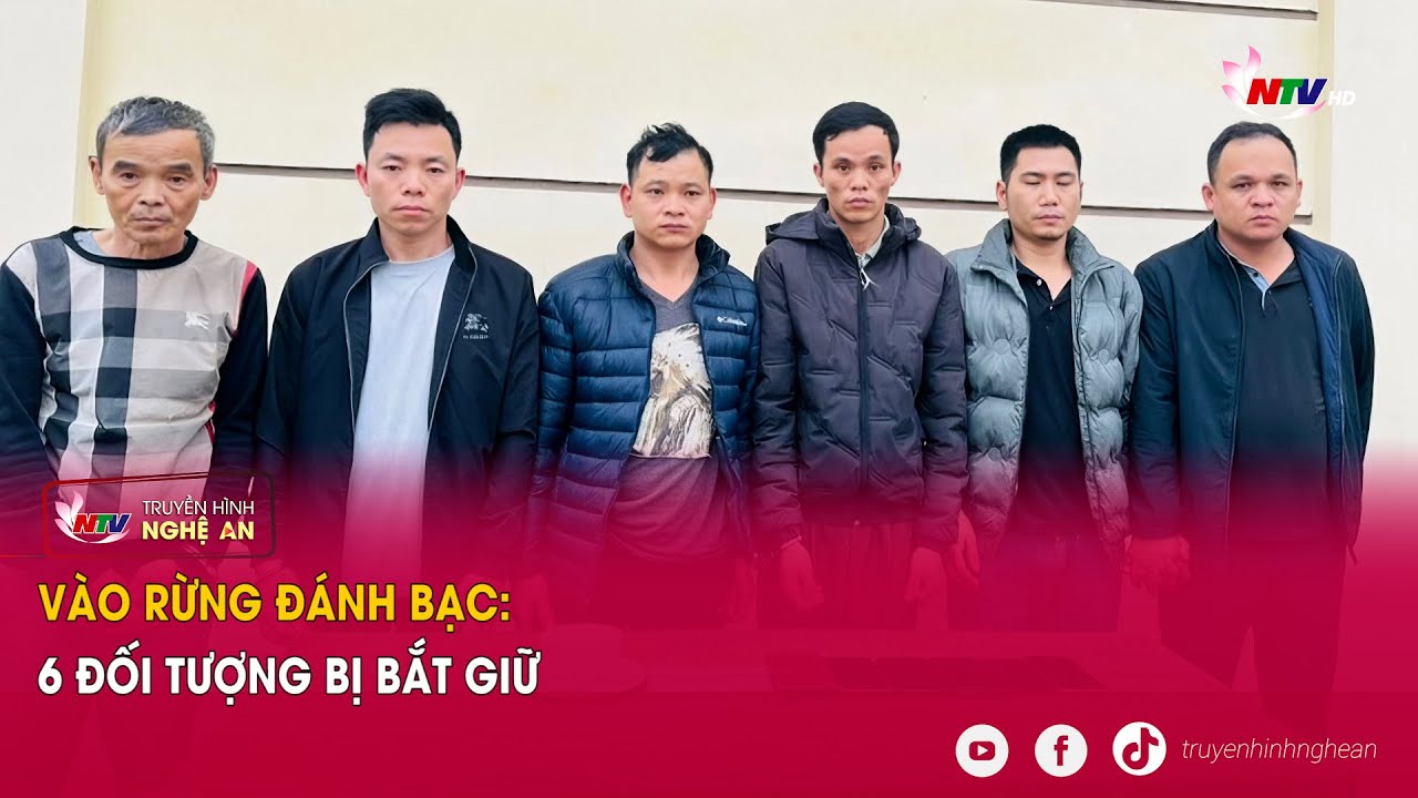 Vào rừng đánh bạc: 6 đối tượng bị bắt giữ