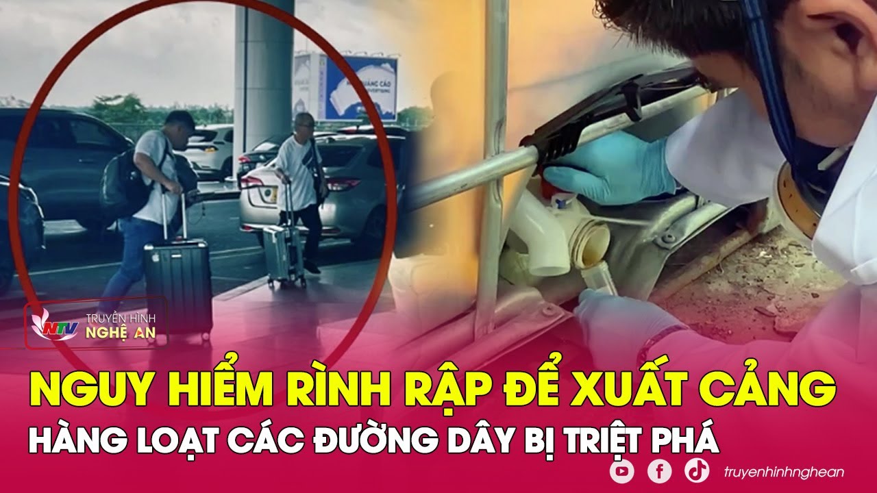 Tóm gọn ông trùm Trung Quốc chuyên ngụy trang cho ma túy xuất cảng từ Việt Nam ra nước ngoài