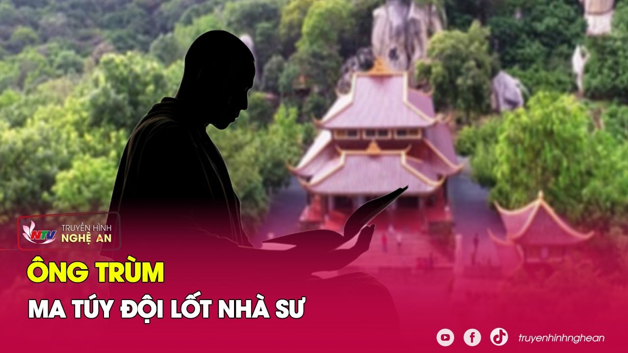 Theo vết ông trùm giả làm nhà sư trốn vào trong chùa để tránh sự truy bắt của cảnh sát | Nghệ An TV