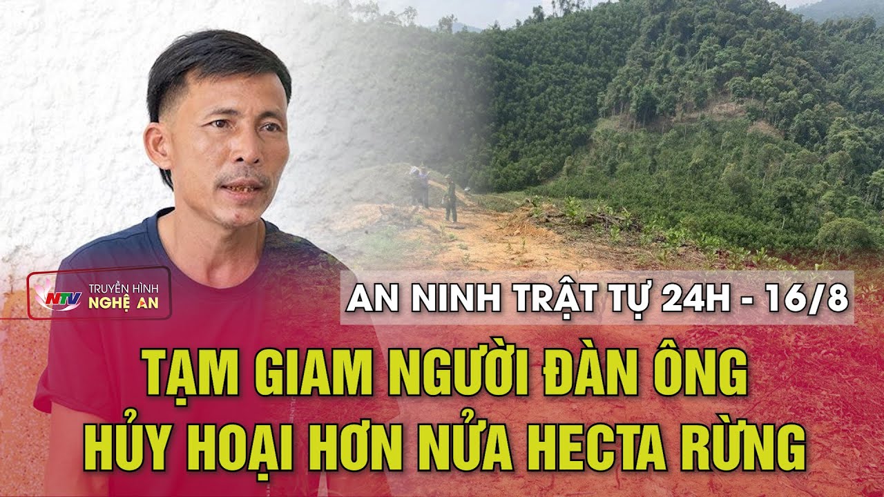 An ninh trật tự 24h - 16/8/2024: Tạm giam người đàn ông hủy hoại hơn nửa hecta rừng