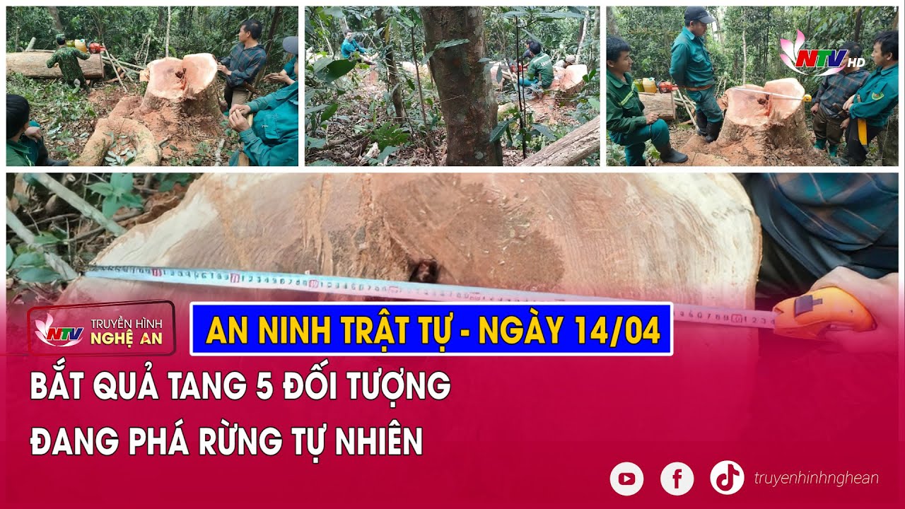 An ninh trật tự 24h - ngày 14/04: