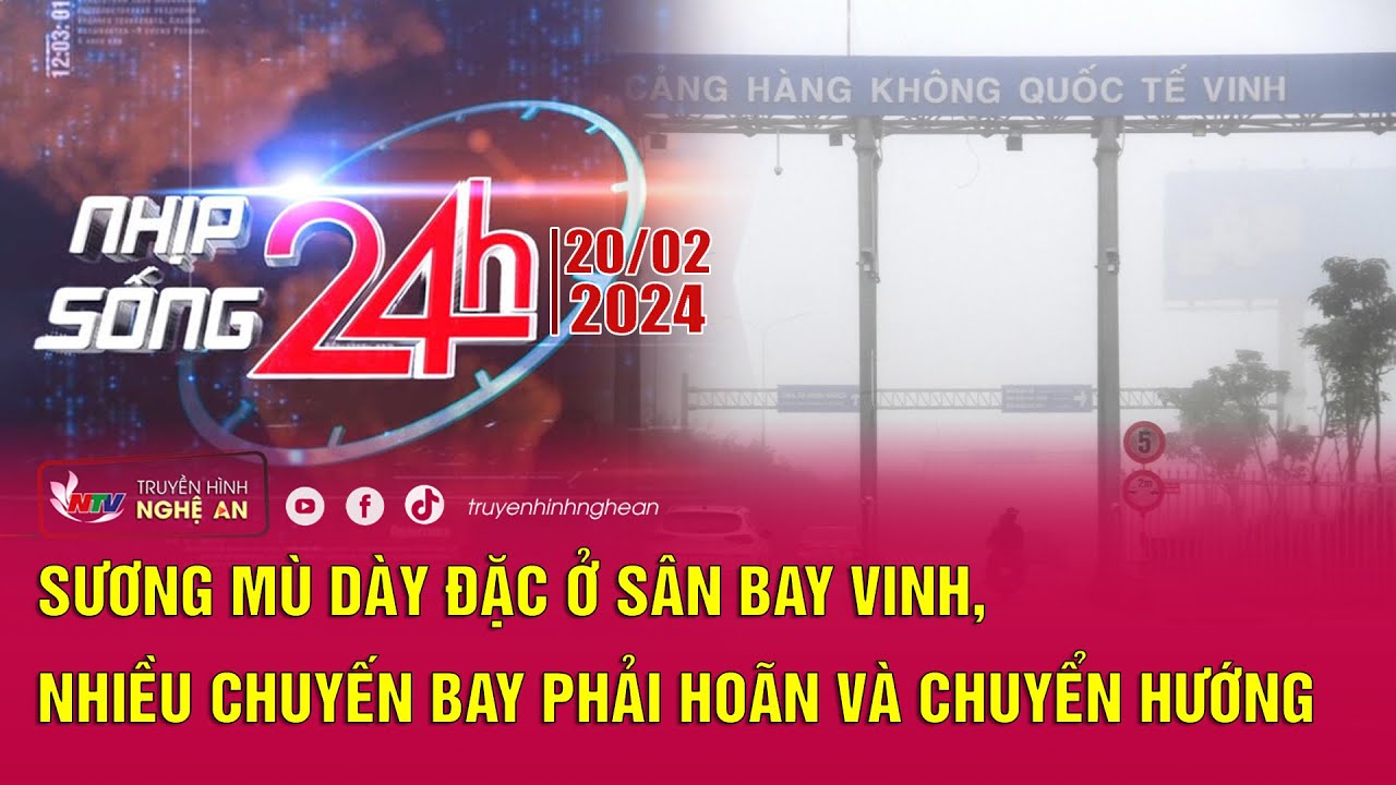 Bản tin Nhịp sống 24h - 20/02/2024