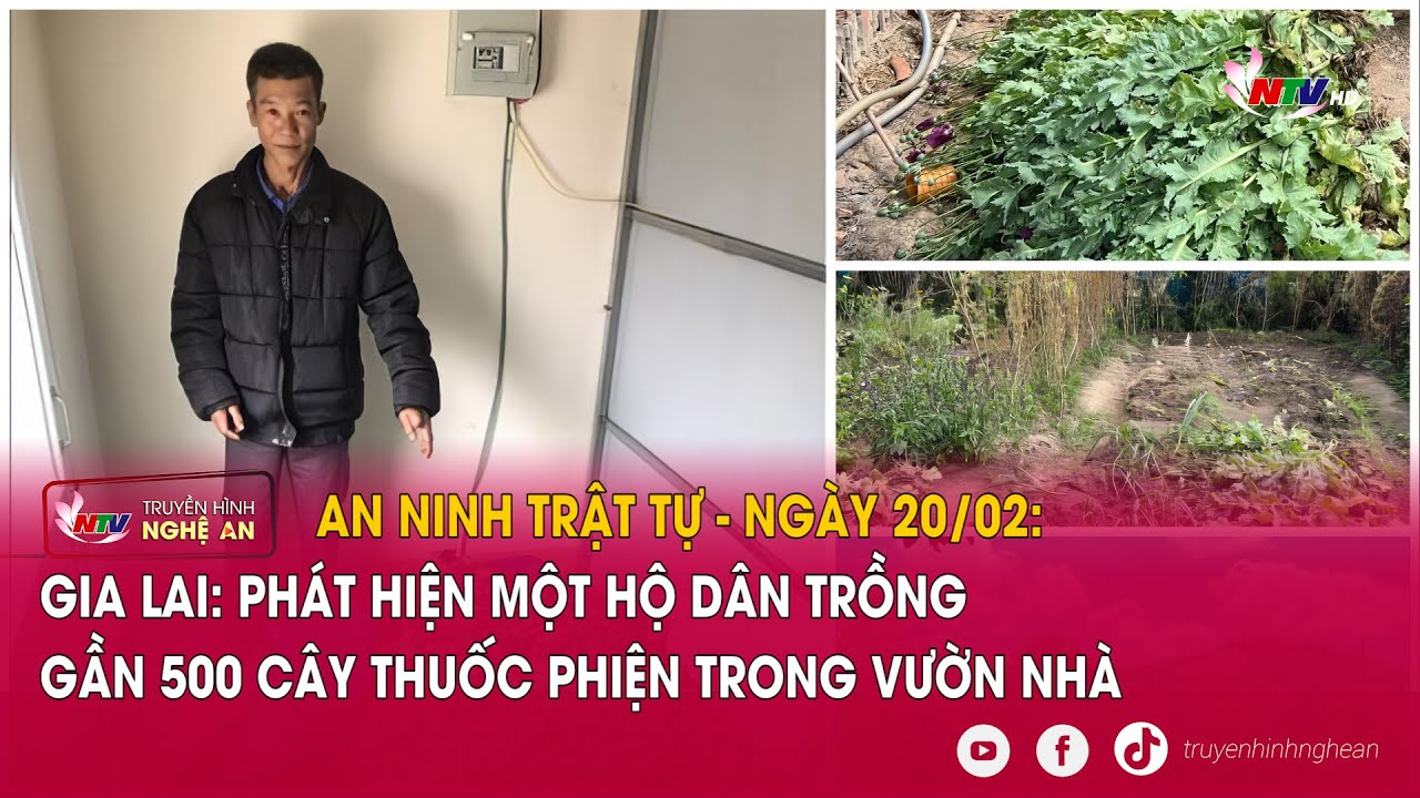 An ninh trật tự 24h - ngày 20/02: