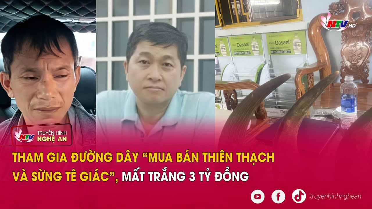 Tham gia đường dây “mua bán thiên thạch và sừng tê giác”, mất trắng 3 tỷ đồng