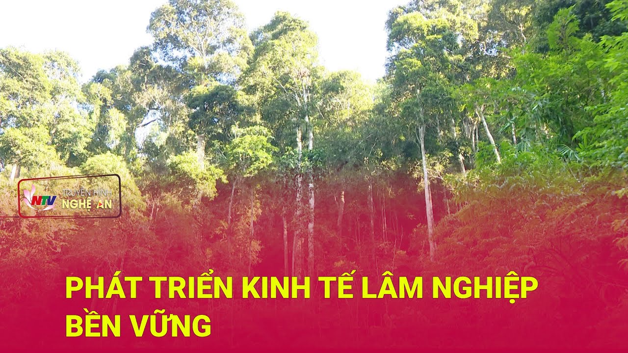 Phát triển kinh tế lâm nghiệp bền vững