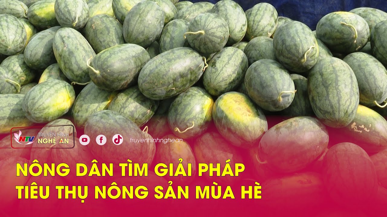 Nông dân tìm giải pháp tiêu thụ nông sản mùa hè