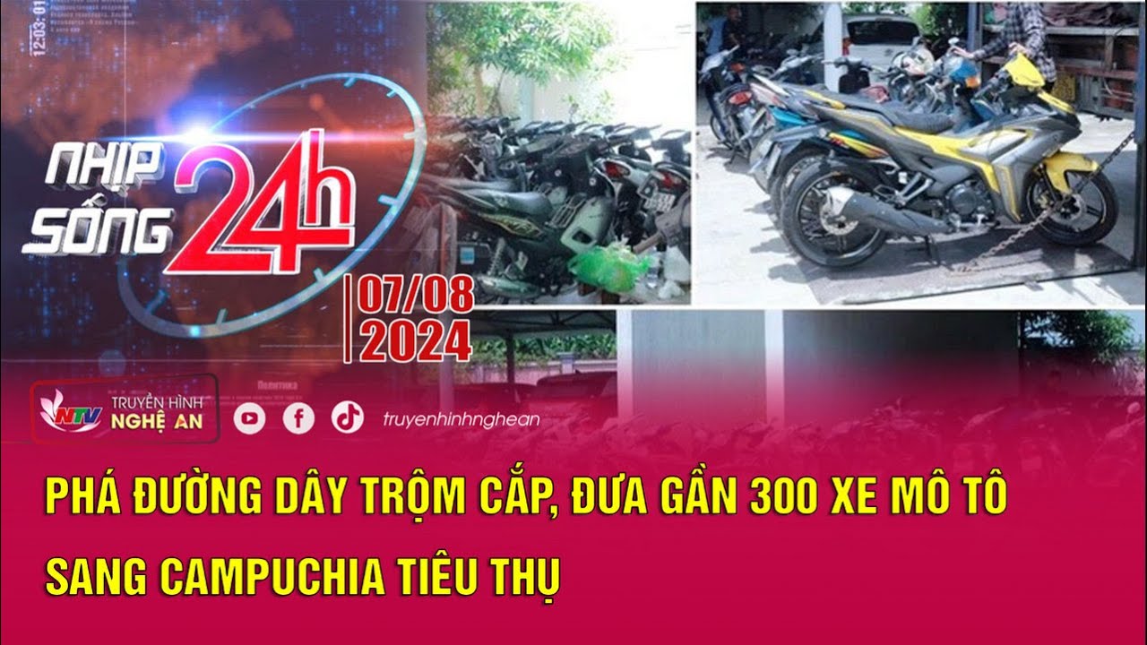 Nhịp sống 24h- 07/8/2024:  Phá đường dây trộm cắp, đưa gần 300 xe mô tô sang Campuchia tiêu thụ