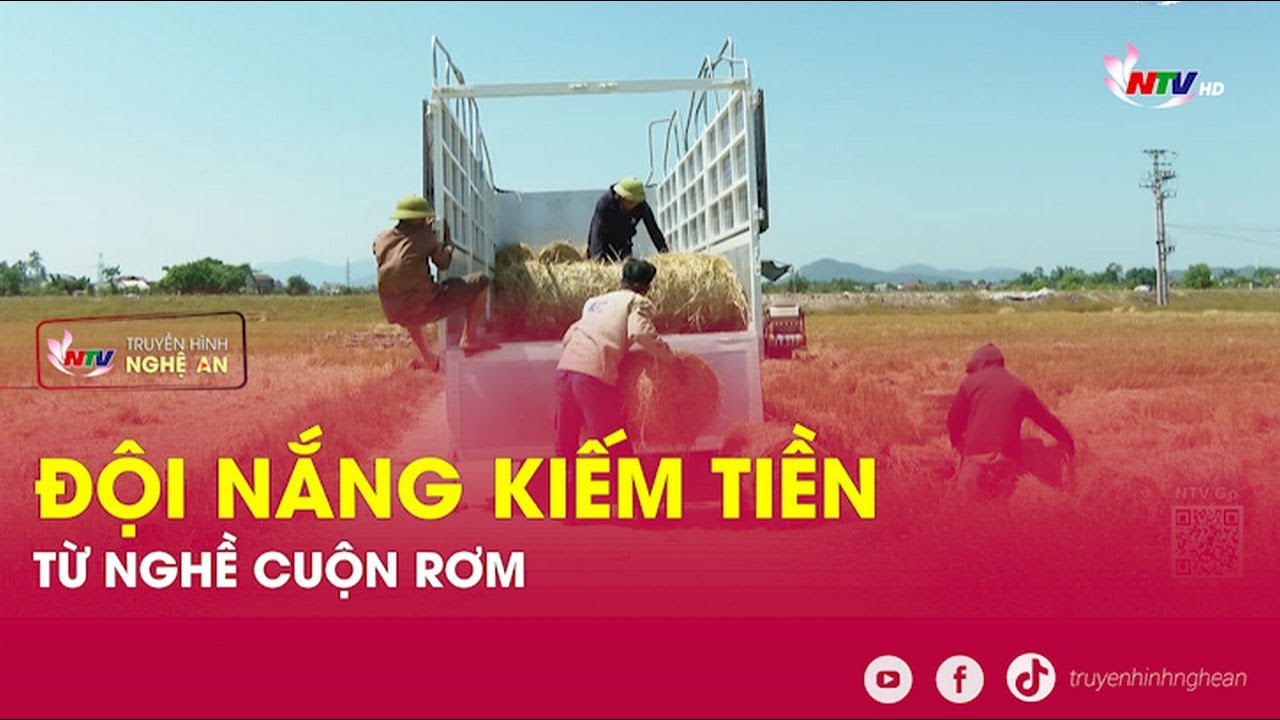 Đội nắng kiếm tiền từ nghề cuộn rơm