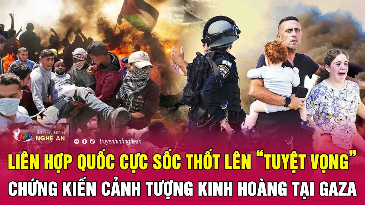 Liên Hợp Quốc cực sốc thốt lên “tuyệt vọng” chứng kiến cảnh tượng kinh hoàng tại Gaza | Nghệ An TV