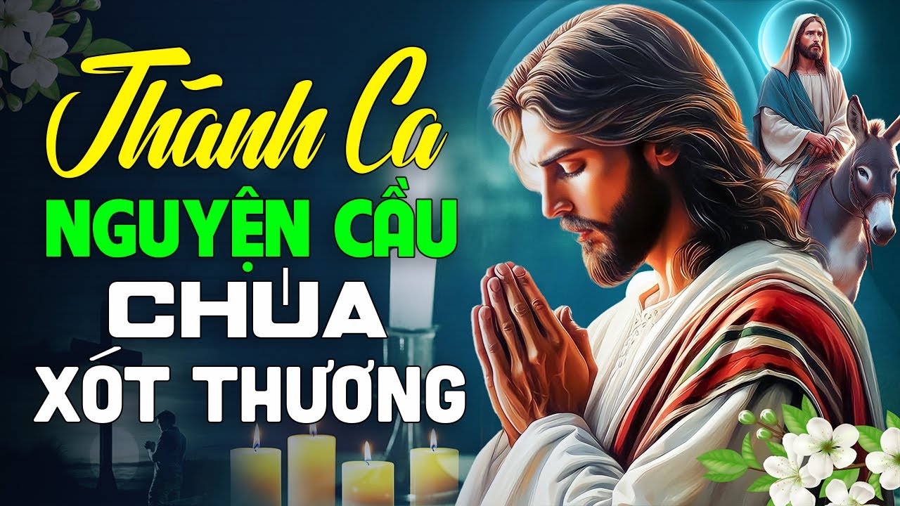 Thánh Ca Công Giáo Hay Nhất | Tuyệt Đỉnh Thánh Ca Nguyện Cầu Chúa Xót Thương, Nghe Tín Thác Vào Chúa