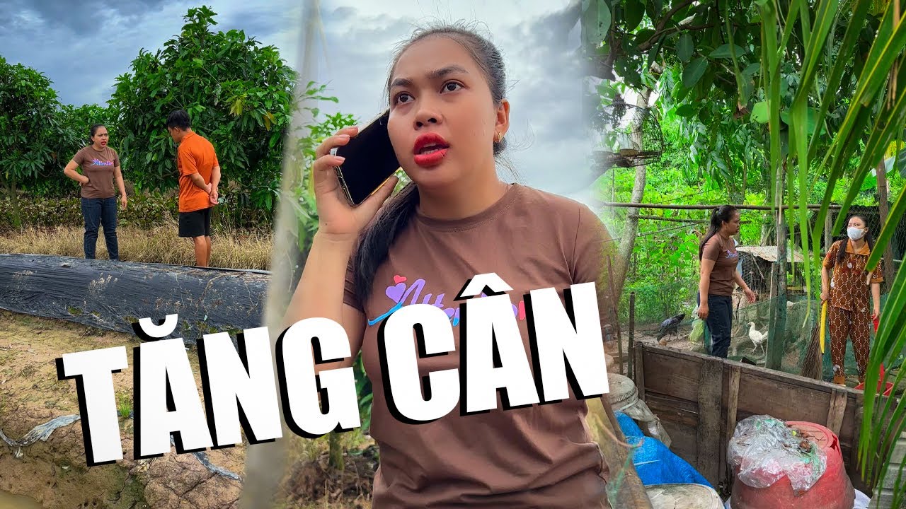 Tăng Cân #videogiaitri #vochongson #nguyenhuyvlog