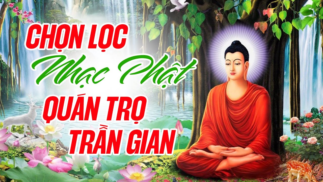 CHỌN LỌC NHẠC PHẬT 2024 QUÁN TRỌ TRẦN GIAN - Nghe Nhạc Này Không Còn Phiền Não