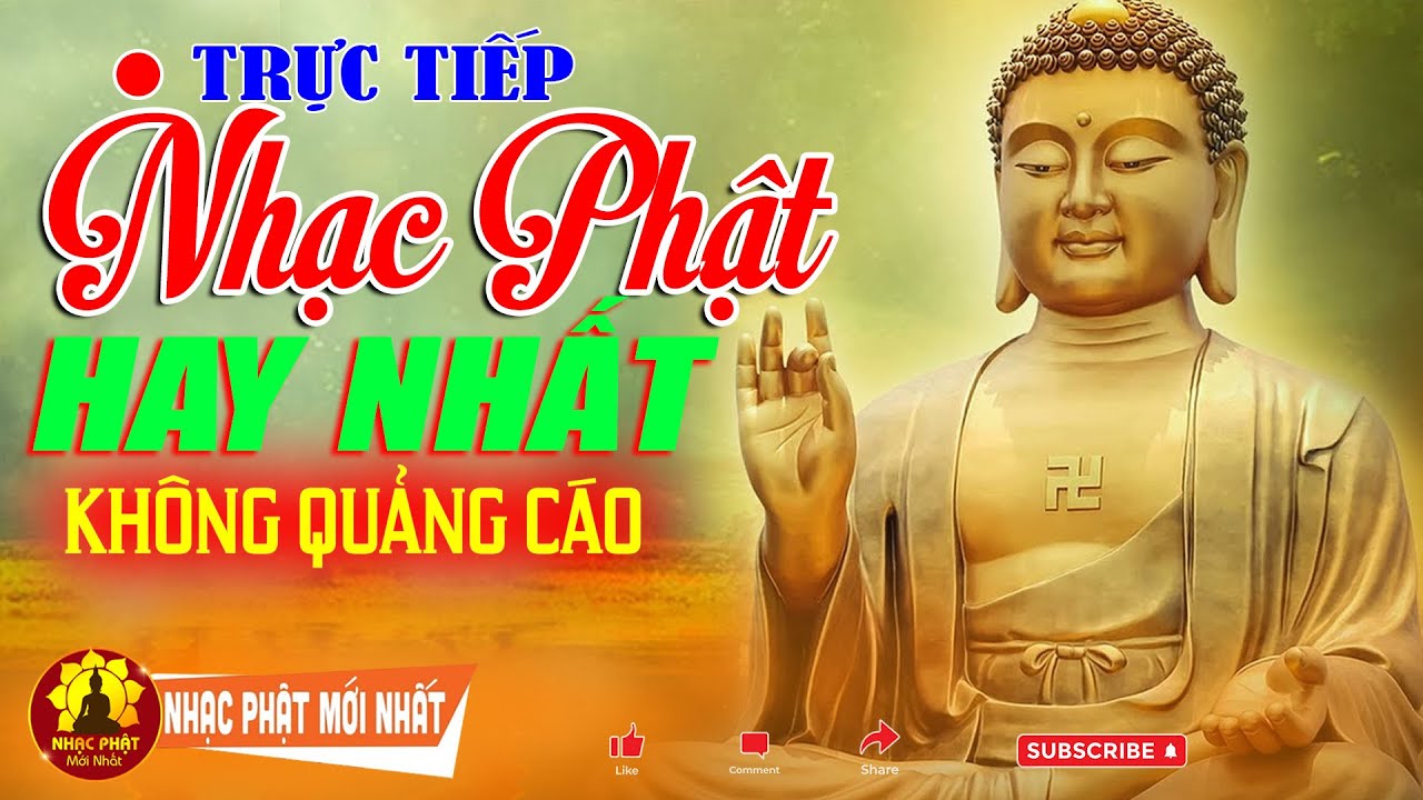 Trực Tiếp Nhạc Phật Giáo 2024 - Lk Nhạc Phật DỄ NGHE DỄ NGỦ - CẦU BÌNH AN MAY MẮN