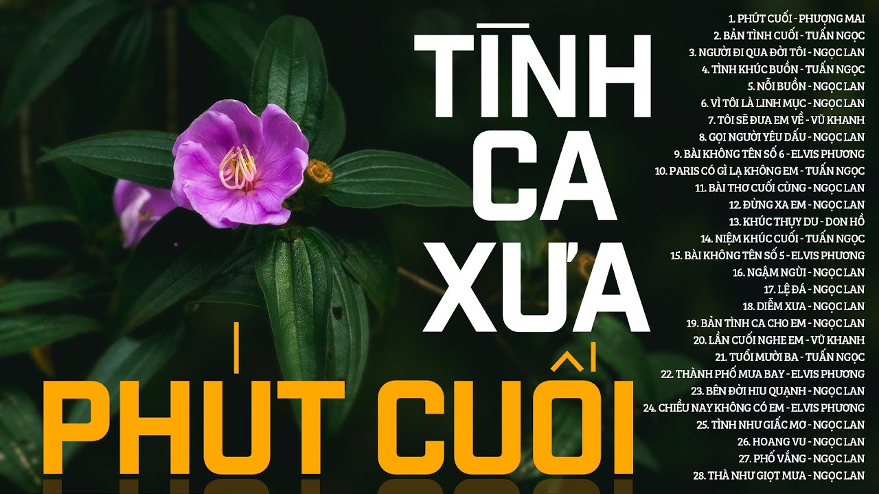 PHÚT CUỐI, NIỆM KHÚC CUỐI - Top 135 Tình Ca Xưa Hải Ngoại Cực Sầu Cấm Nghe Về Đêm