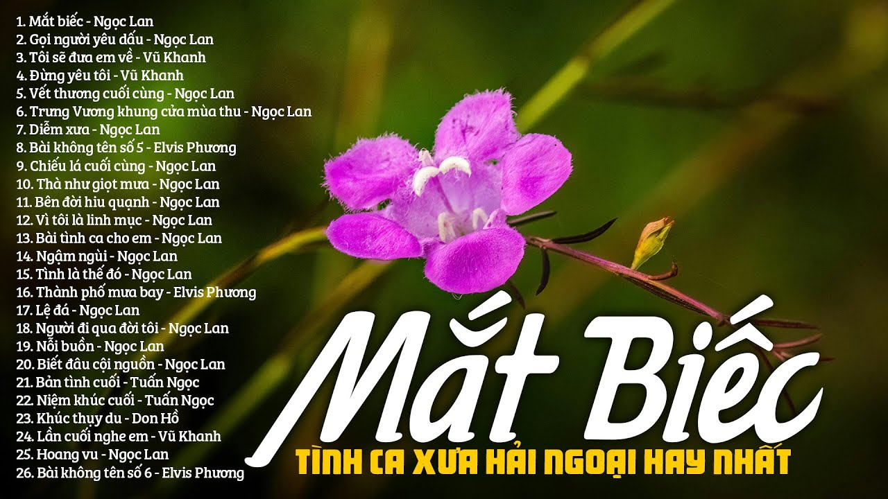 MẮT BIẾC, GỌI NGƯỜI YÊU DẦU - Nhạc Tình Ca Xưa Hải Ngoại Nhẹ Nhàng Chất Chứa Đầy Tâm Trạng