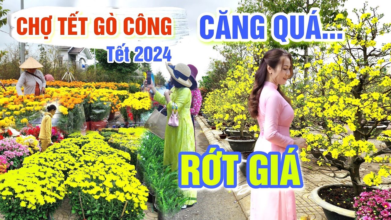 CĂNG THẲNG CHỢ HOA TẾT 2024: RỚT GIÁ TRẦM TRỌNG, RAU CẢI GIÁ 0 ĐỒNG CHỢ TẾT GÒ CÔNG