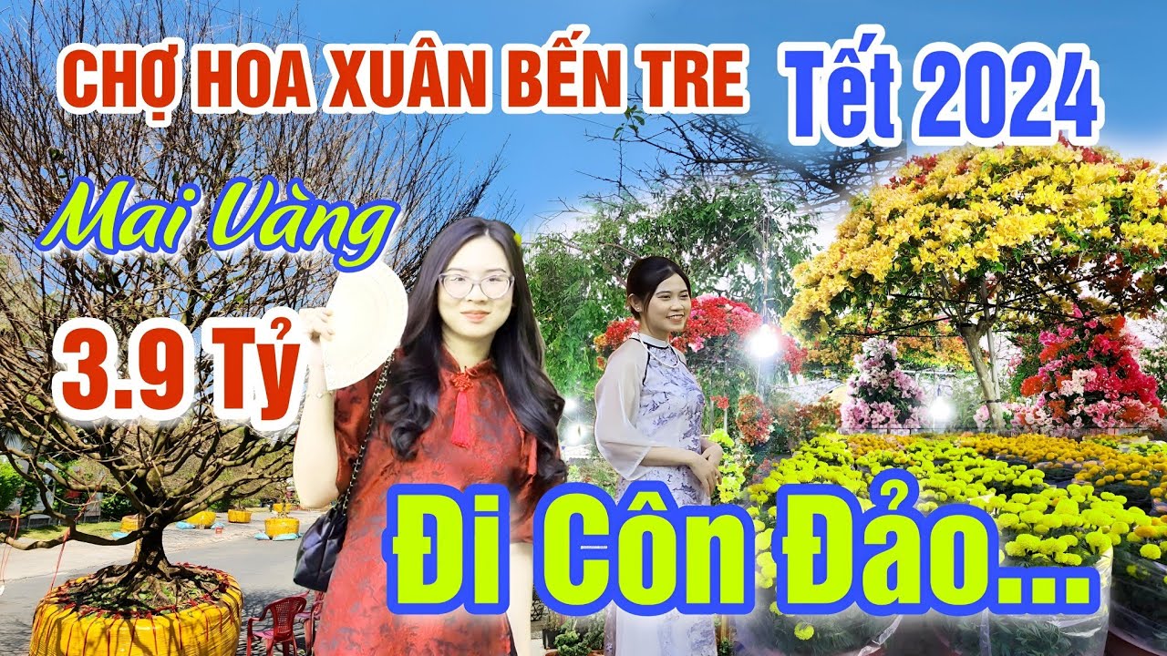 QUÁ KHỔ CHỢ HOA TẾT 2024 BẾN TRE: RỚT GIÁ THÊ THẢM GIẢI CỨU HOA RA CÔN ĐẢO, MAI VÀNG KHỦNG 3 TỶ 9