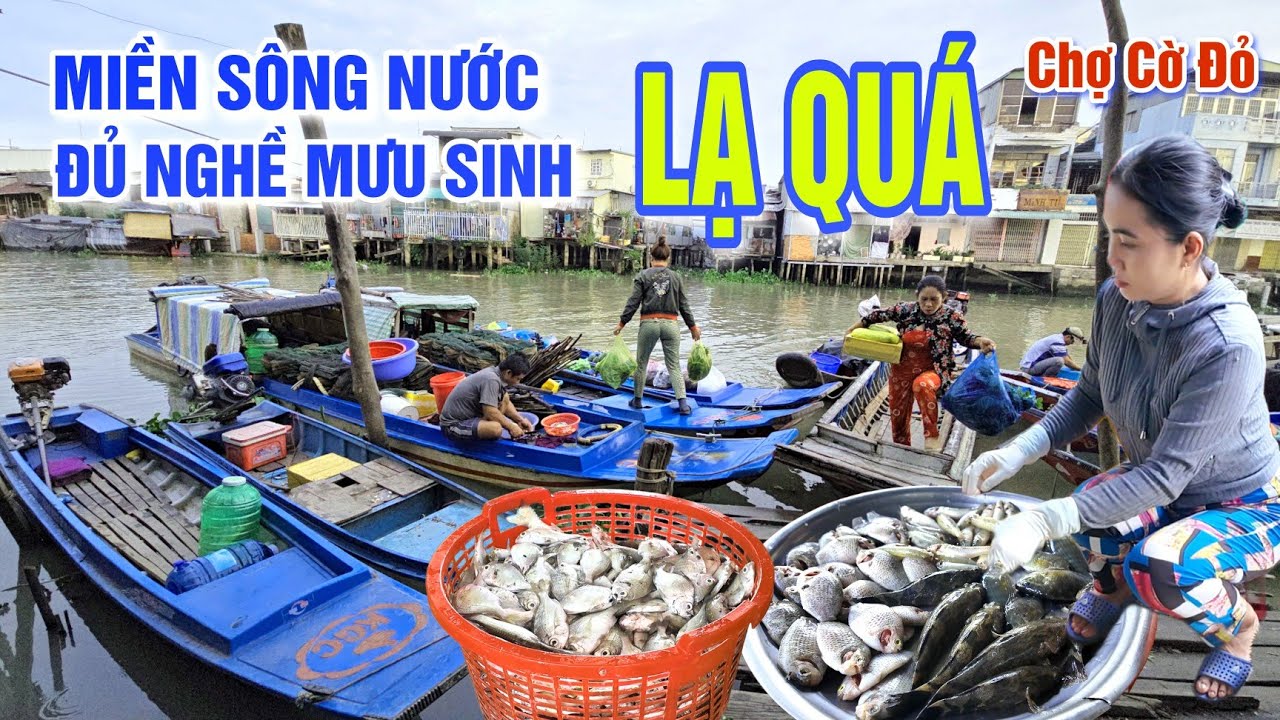 LẠ QUÁ: ĐỦ NGHỀ MƯU SINH XỨ MIỀN SÔNG NƯỚC CẦN THƠ - BÀ CON CHỢ CỜ ĐỎ LAO ĐAO