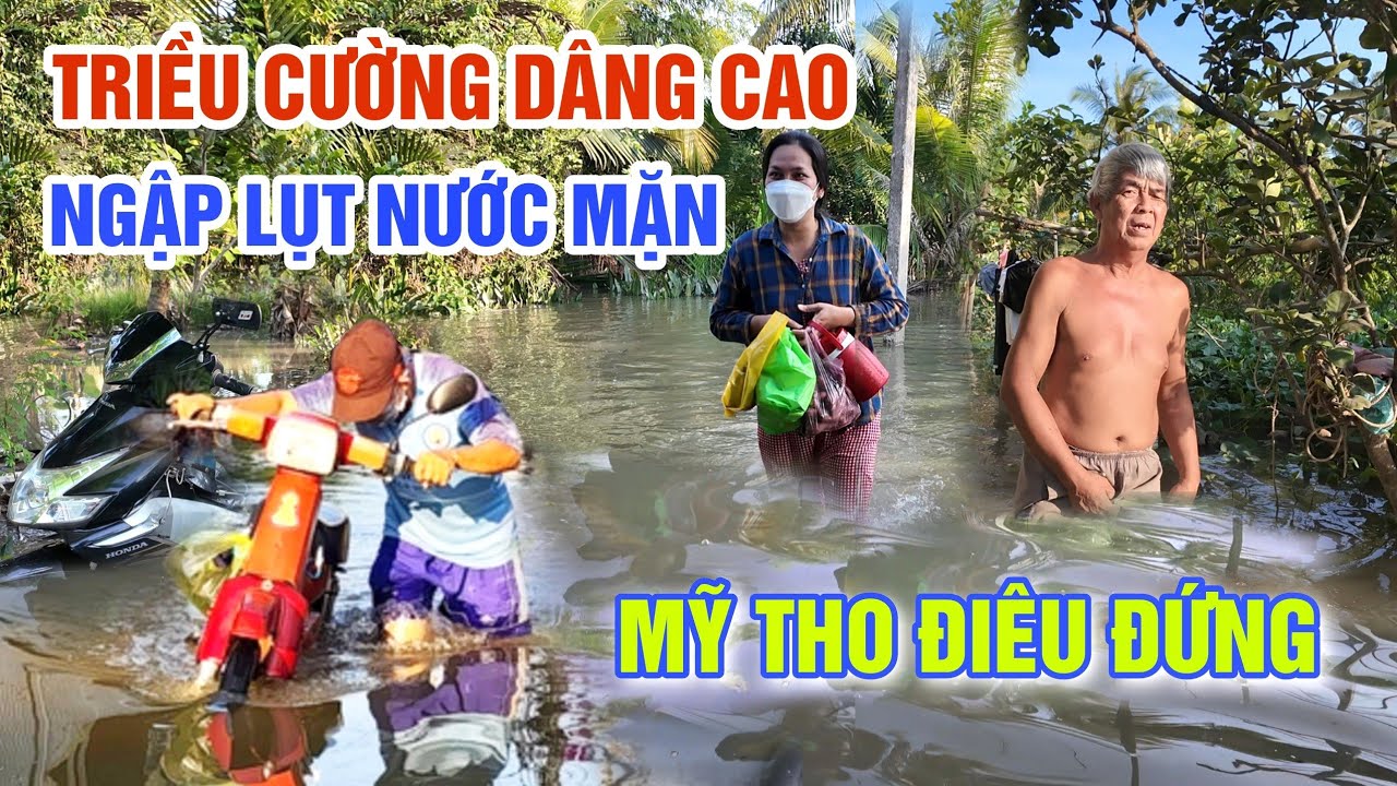 CỰC CĂNG TRIỀU CƯỜNG DÂNG CAO NƯỚC MẶN NGẬP LỤT NHÀ CỬA ĐE DỌA VƯỜN CÂY Ở MỸ THO TIỀN GIANG