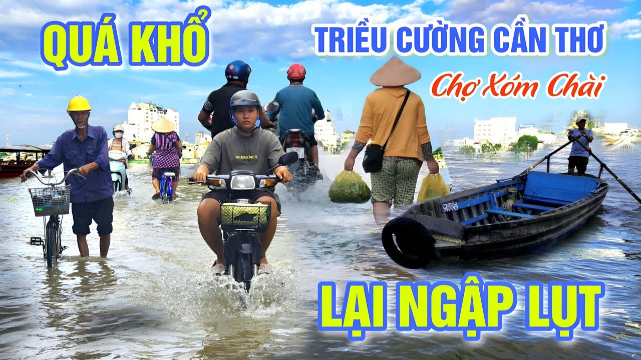 KHỔ NỮA RỒI TRIỀU CƯỜNG CẦN THƠ NGẬP LỤT - BÀ CON CHỢ XÓM CHÀI MƯU SINH Ì ẠCH | OKDD