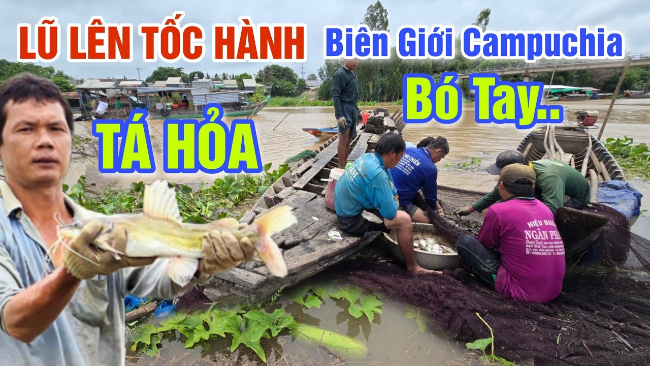 TÁ HỎA NƯỚC LŨ LÊN TỐC HÀNH BÀ CON BIÊN GIỚI CAMPUCHIA BÓ TAY VỚI ĐÀN CÁ KHI DỠ ĐÁM CHÀ