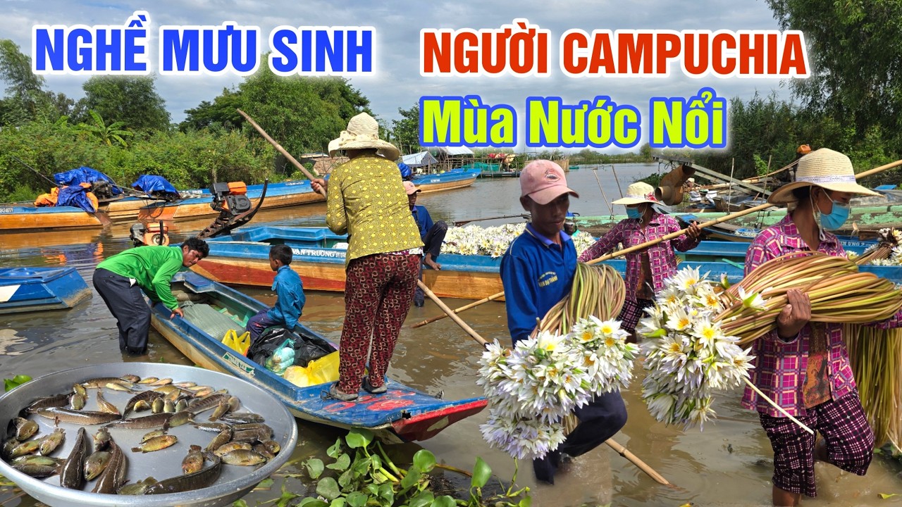 BẤT NGỜ NGƯỜI CAMPUCHIA MƯU SINH VÀO MÙA NƯỚC NỔI TRÊN ĐẤT VIỆT - CÁ RÔ ĐẦU MÙA Ở CHỢ BIÊN GIỚI