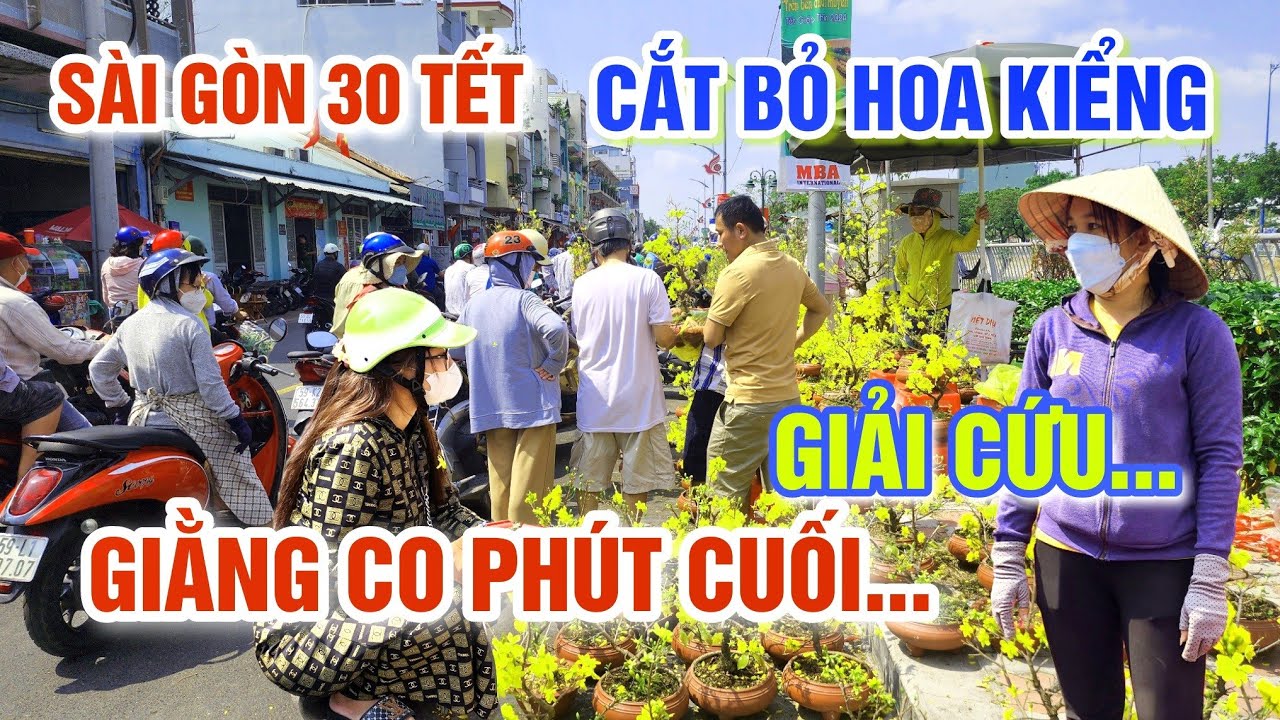 QUYẾT CẮT BỎ HOA KIỂNG KHÔNG CHỞ VỀ SÀI GÒN 30 TẾT: HÀNG 1000 NGƯỜI KÉO NHAU GIẢI CỨU GIỜ CUỐI