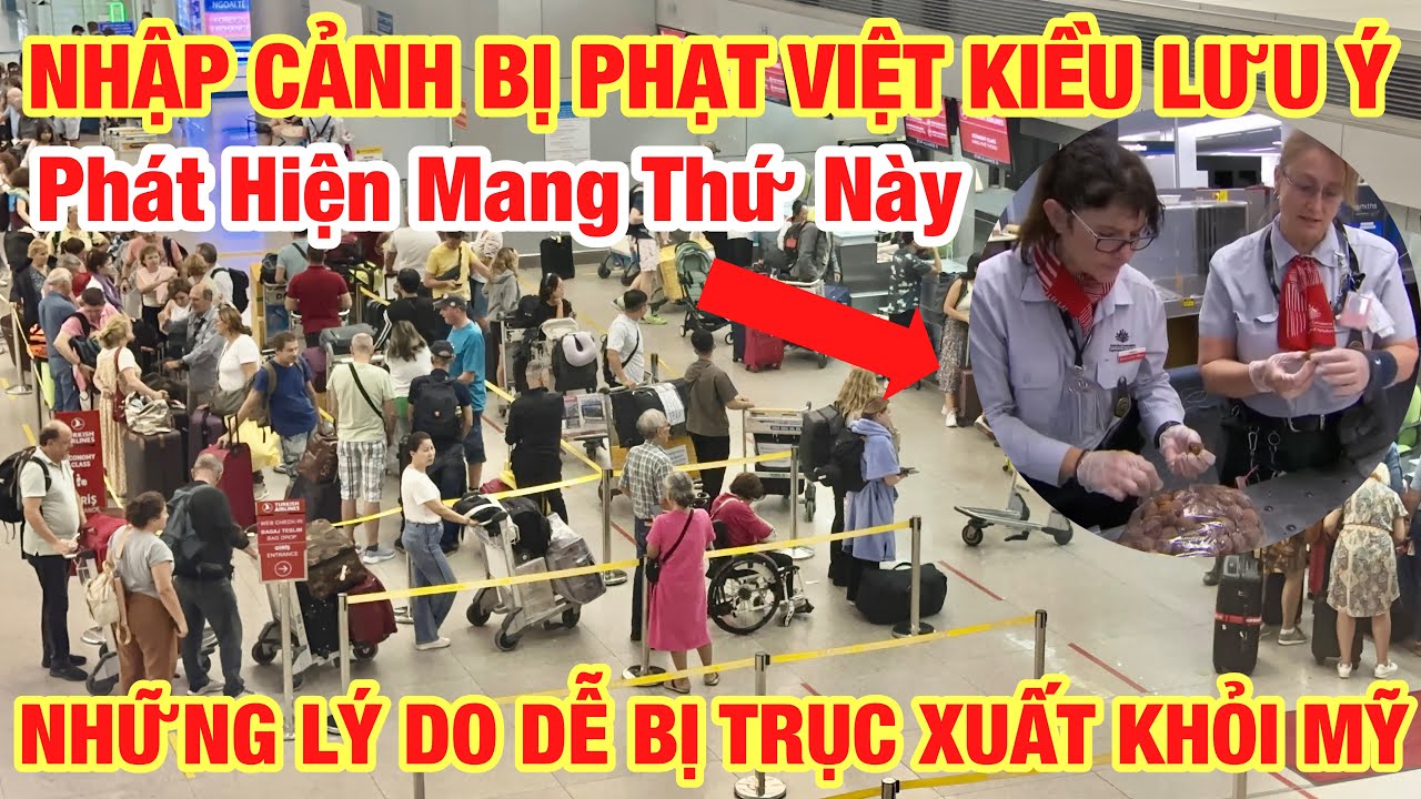 NHẬP CẢNH BỊ PHẠT BÀI HỌC CHO VIỆT KIỀU CẦN LƯU Ý KHÔNG NÊN CHỦ QUAN