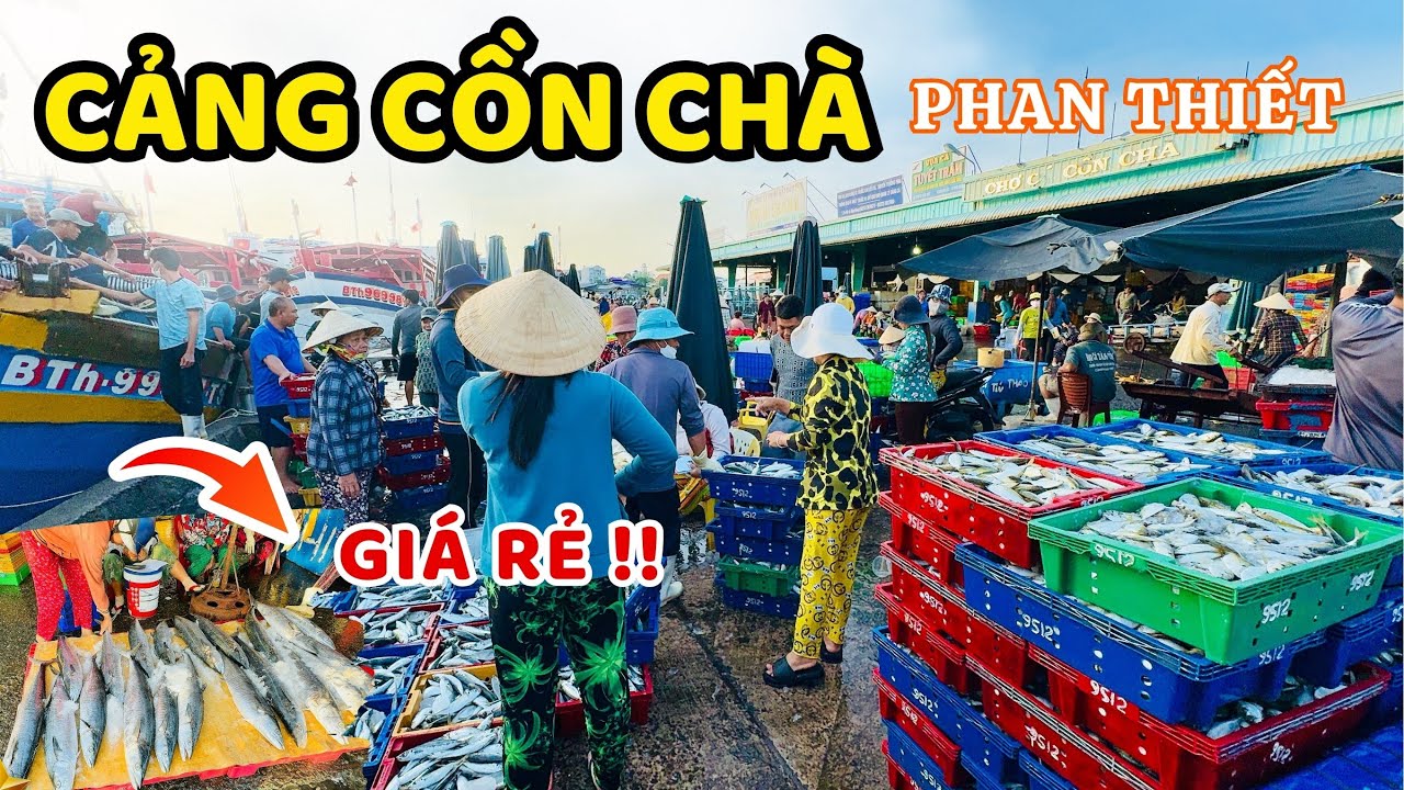 Khám phá Chợ Cá Cồn Chà ở Cảng Cá Phan Thiết, Chợ hải giá sỉ Bình Thuận ❤️  Phan Thiết Phố  🏝