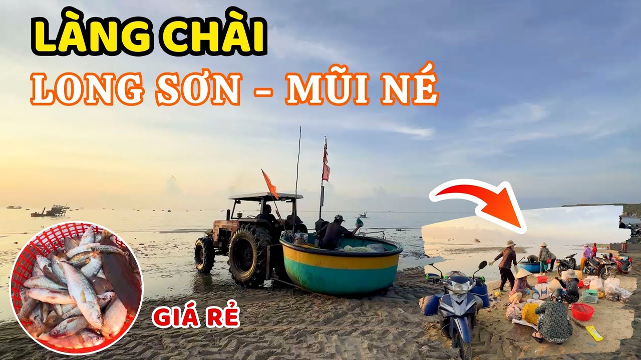 Mùa Đánh Bắt Sáng Sớm Ở Làng Chài Long Sơn: Khám Phá Hải Sản Tươi Ngon Từ Biển🏝 ❤️