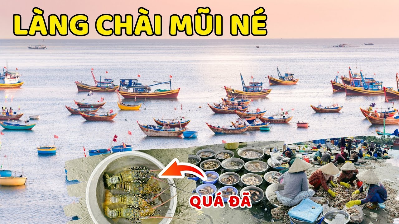 Buổi Sáng Tấp Nập Ở Làng Chài Mũi Né: Hải Sản Tươi Vừa Đánh Bắt ❤️  Phan Thiết Phố  🏝