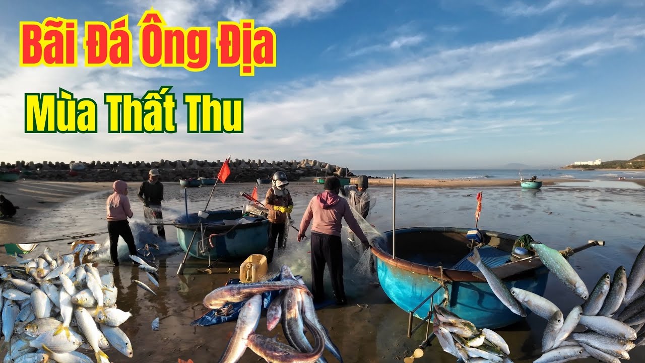 Bãi đá ông địa Phan Thiết mùa thất thu   ❤️  Phan Thiết Phố  🏝