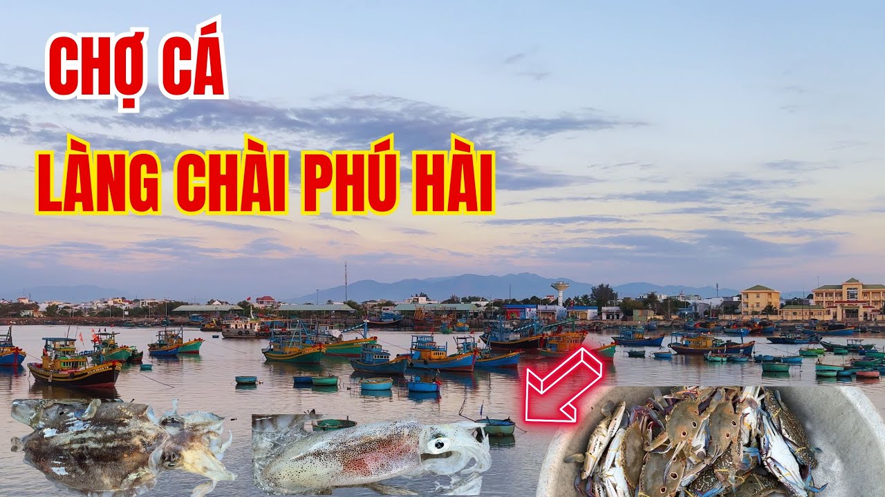 Chợ cá  buổi sáng ở  làng chài Phú Hài, Phan Thiết ❤️  Phan Thiết Phố  🏝