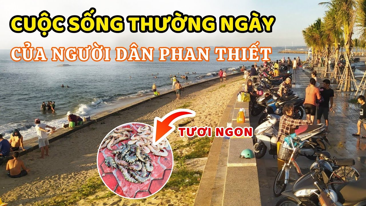 Khám Phá Cuộc Sống Yên Bình Của Người Dân Phan Thiết tại  Bãi Biển Thương Chánh  ❤️  🏝