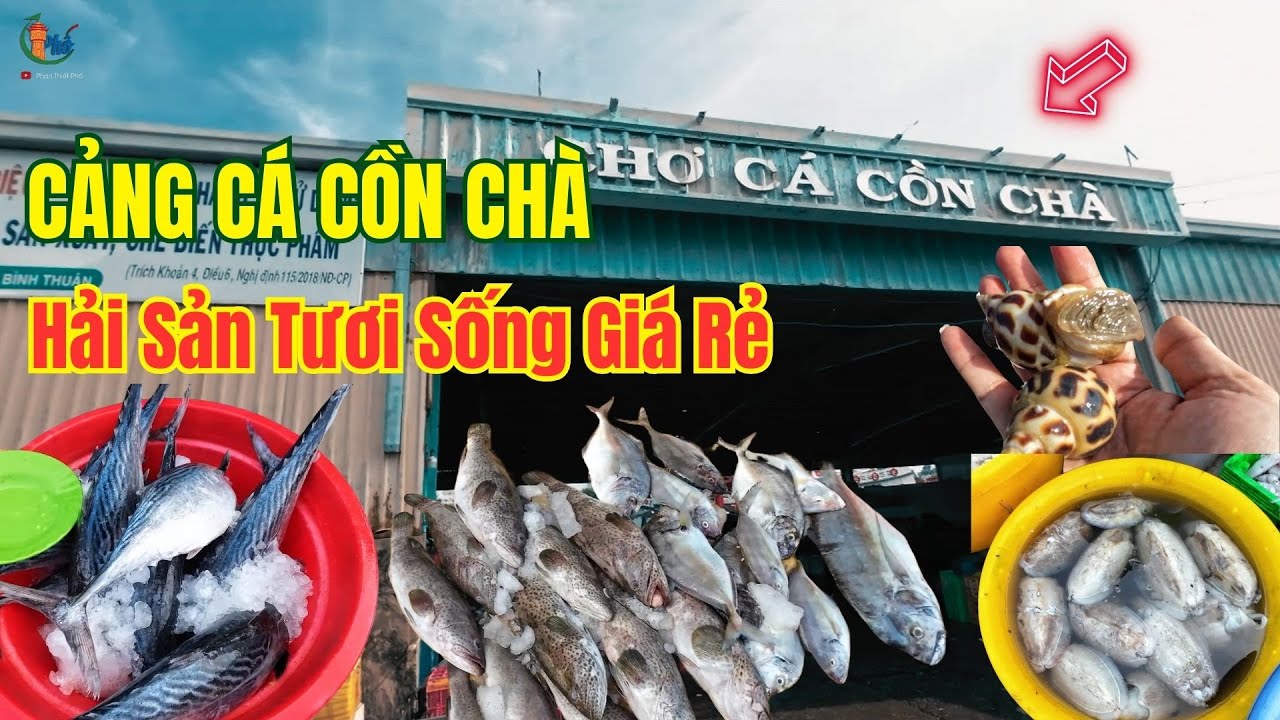 Khám phá Chợ Cá Cồn Chà ở Cảng Cá Phan Thiết , Hải sản tươi sống giá rẻ siêu hấp dẫn  ❤️