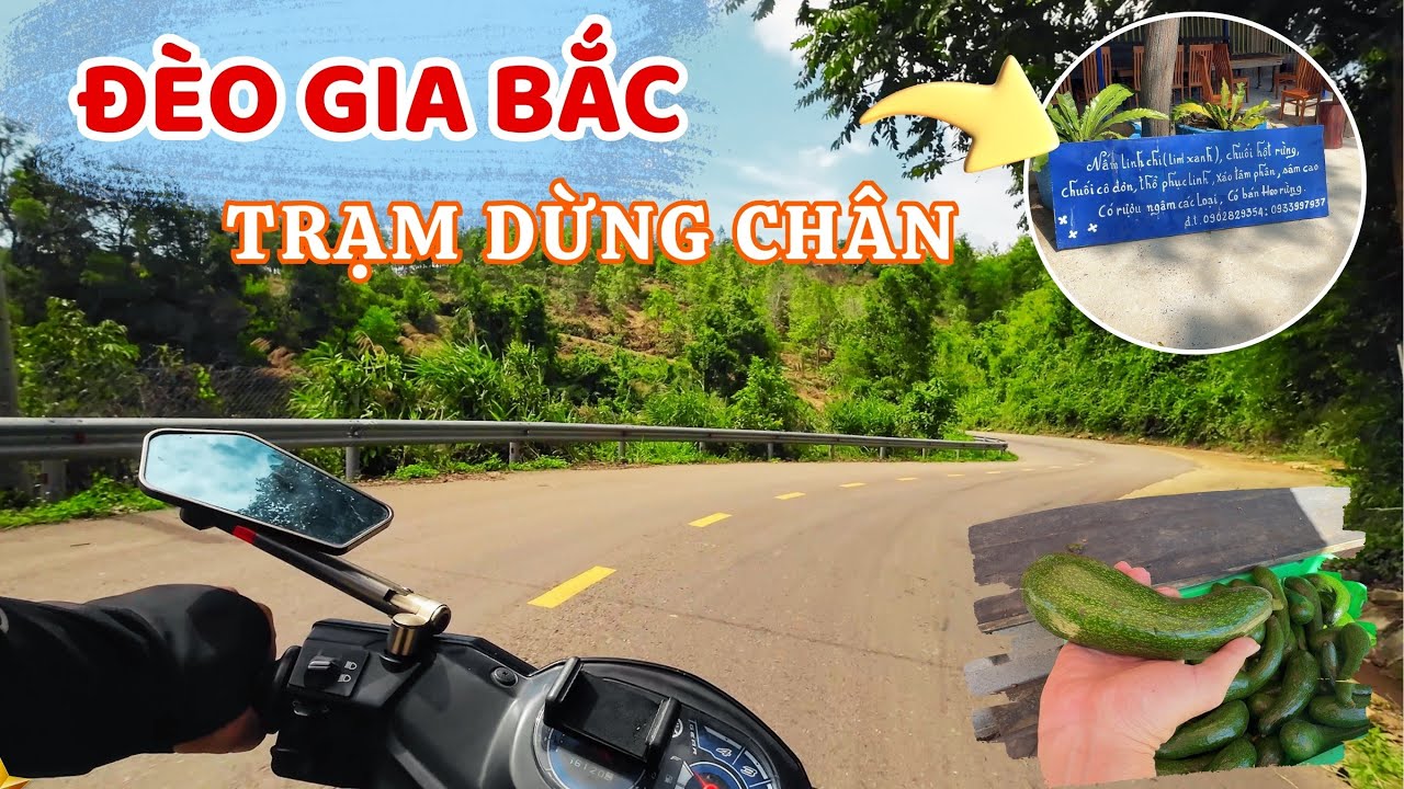 Trạm Dừng Chân Mát Mẻ Trên  ĐÈO GIA BẮC Cung Đường Nối  Bình Thuận Với  Lâm Đồng , Đà Lạt  ❤️   🏝