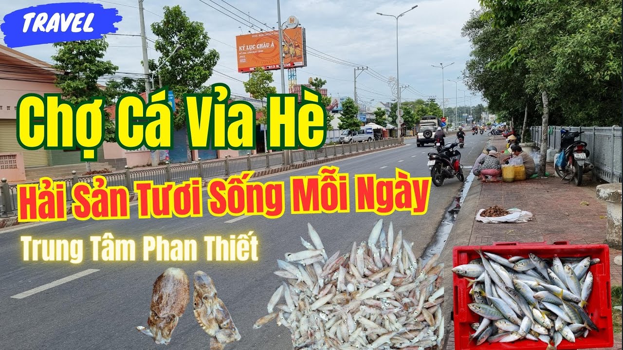 Khám phá chợ cá vỉa hè Phú Hài , hải sản mới lên tươi sống mỗi ngày  ❤️  Phan Thiết Phố  🏝