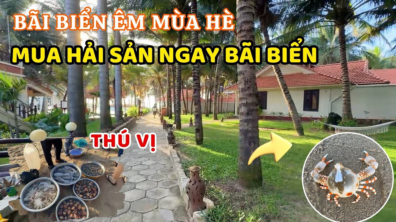 Một trong những bài tắm êm nhất mùa hè ở Phan Thiết , trải nghiệm mua hải sản từ bà con làng chài❤️