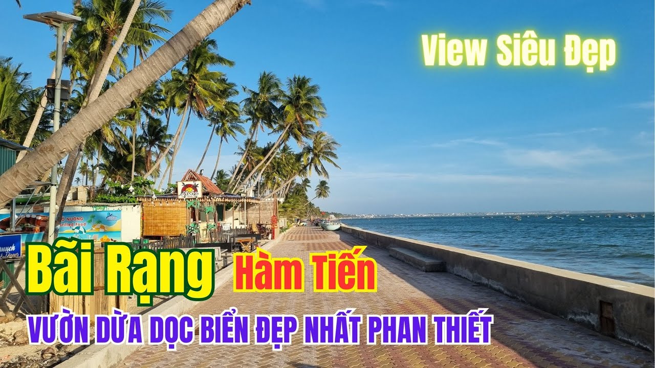 BIỂN RẠNG HÀM TIẾN  view siêu đẹp với hàng dừa dọc biển đẹp nhất Phan Thiết ❤️  Phan Thiết Phố  🏝