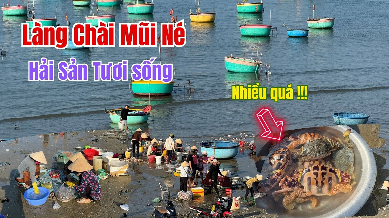 Sắc Màu Biển Cả: Hải Sản Tươi Sống hấp dẫn  Tại Làng Chài Mũi Né, Phan Thiết  ❤️  Phan Thiết Phố  🏝