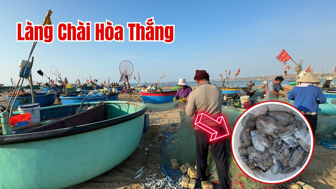 Đừng Nên Bỏ Qua Làng Chài  Hoà Thắng  khi đi du lịch Bàu Trắng Bình Thuận ❤️  Phan Thiết Phố  🏝