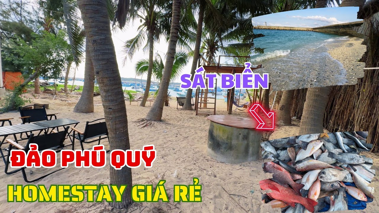 Homestay giá rẻ ở Đảo Phú Quý sát bến tàu : Ngỡ ngàng với vẻ đẹp của sự hoang sơ   ❤️   🏝