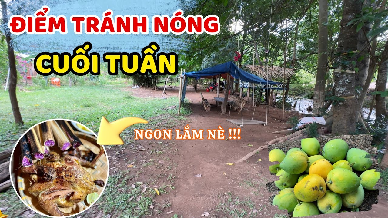 Bật mí khu Cafe  tránh nóng ngày hè bên bờ suối hoang sơ tại Đông Tiến - Hàm Thuận Bắc  ❤️ 🏝